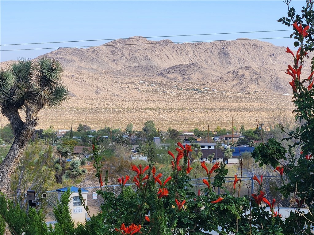 60383 Melton Trail