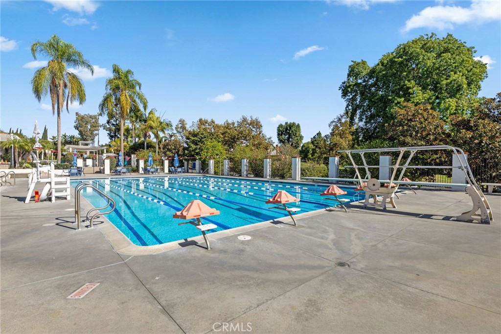 1981 Chevy Chase Drive