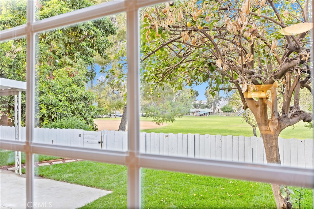 19371 Greyhall Street