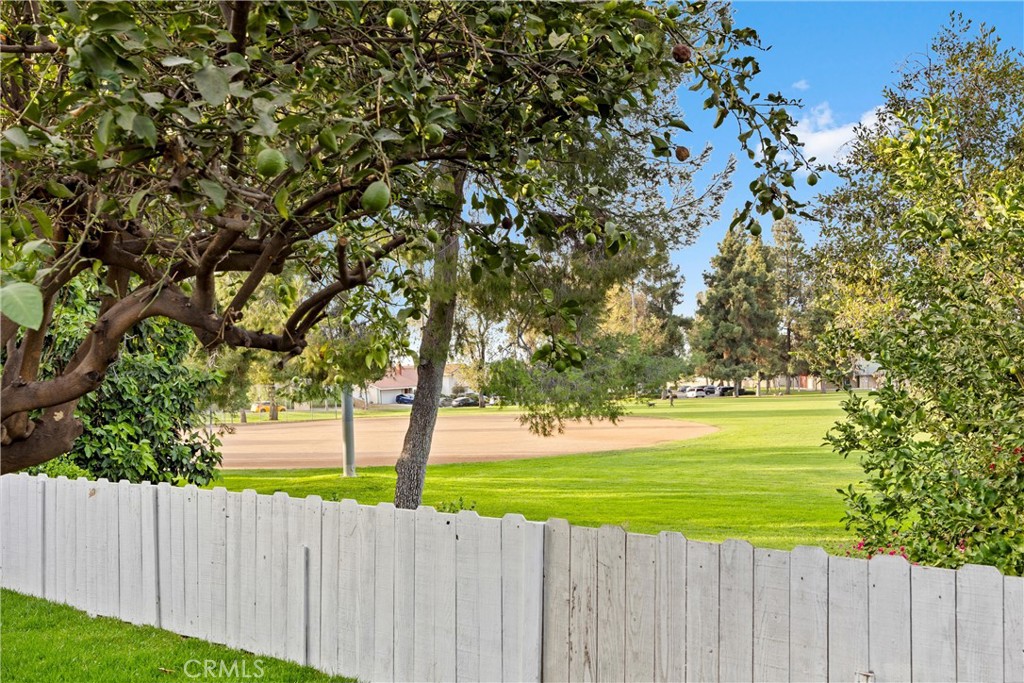 19371 Greyhall Street