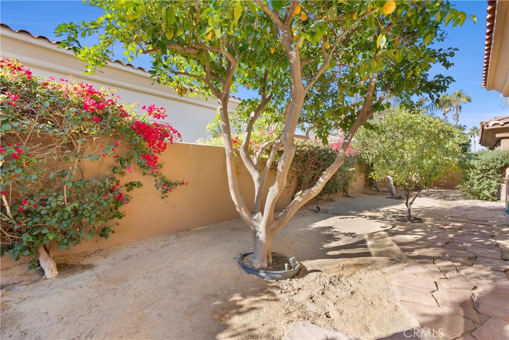 278 Loch Lomond Road