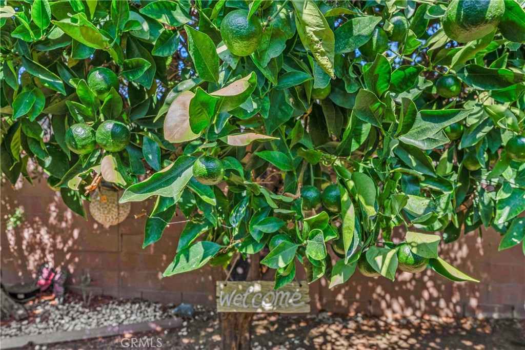 16103 Leffingwell Road