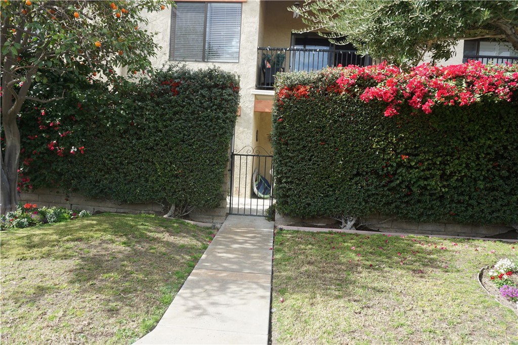 1407 N Sunrise Way 25