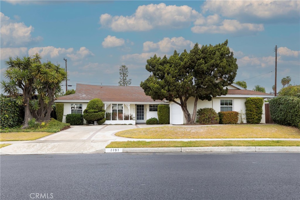 8191 Andora Drive