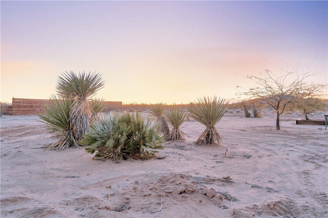 61430 Moonlight Mesa