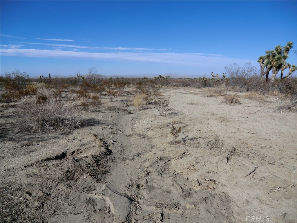 0 Ave X + 175th Street E