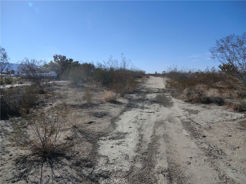 0 Ave X + 175th Street E