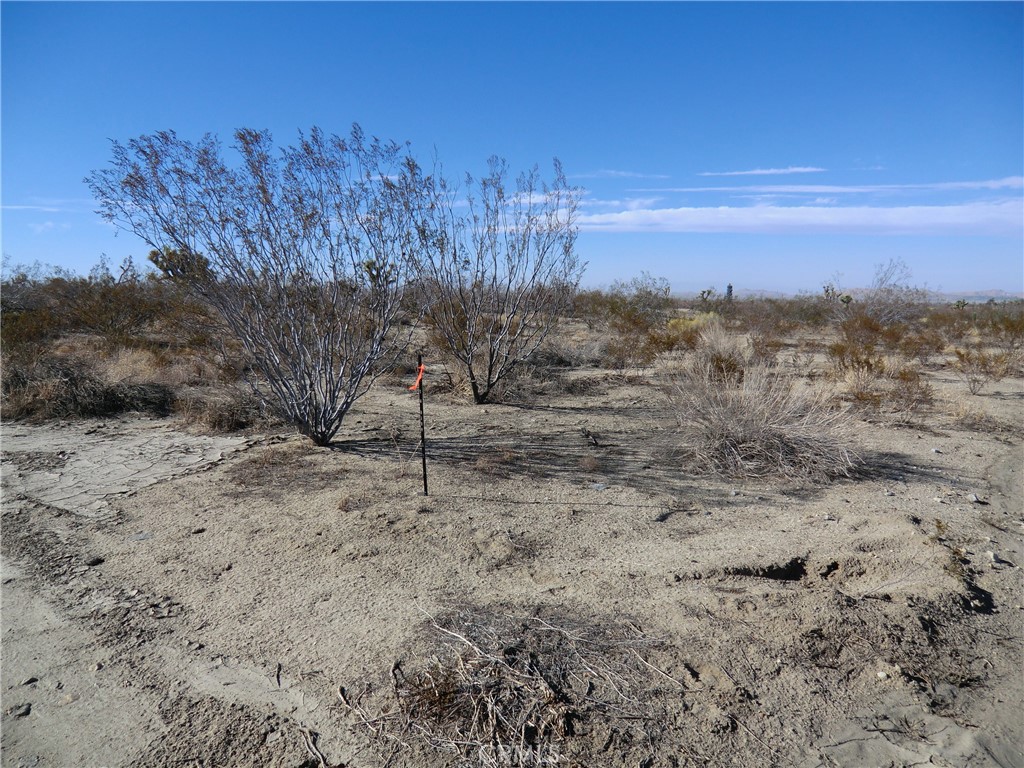 0 Ave X + 175th Street E