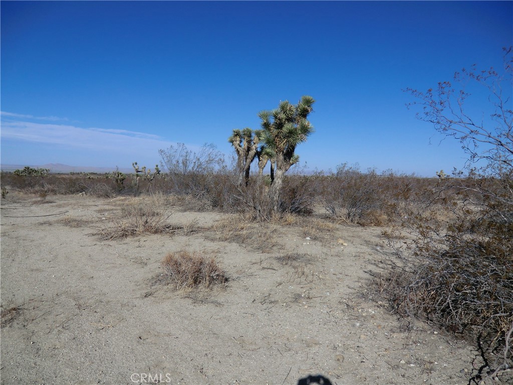 0 Ave X + 175th Street E