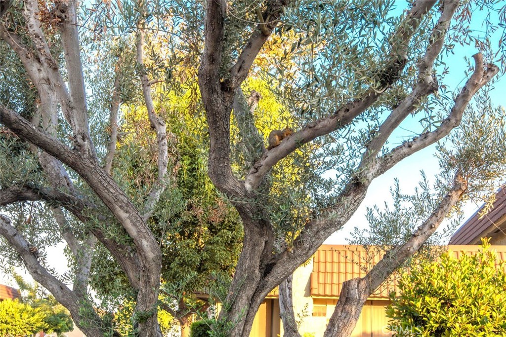 6618 Southampton Drive