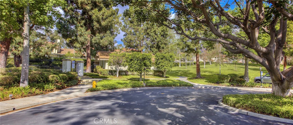 1004 Whitewater Drive 101