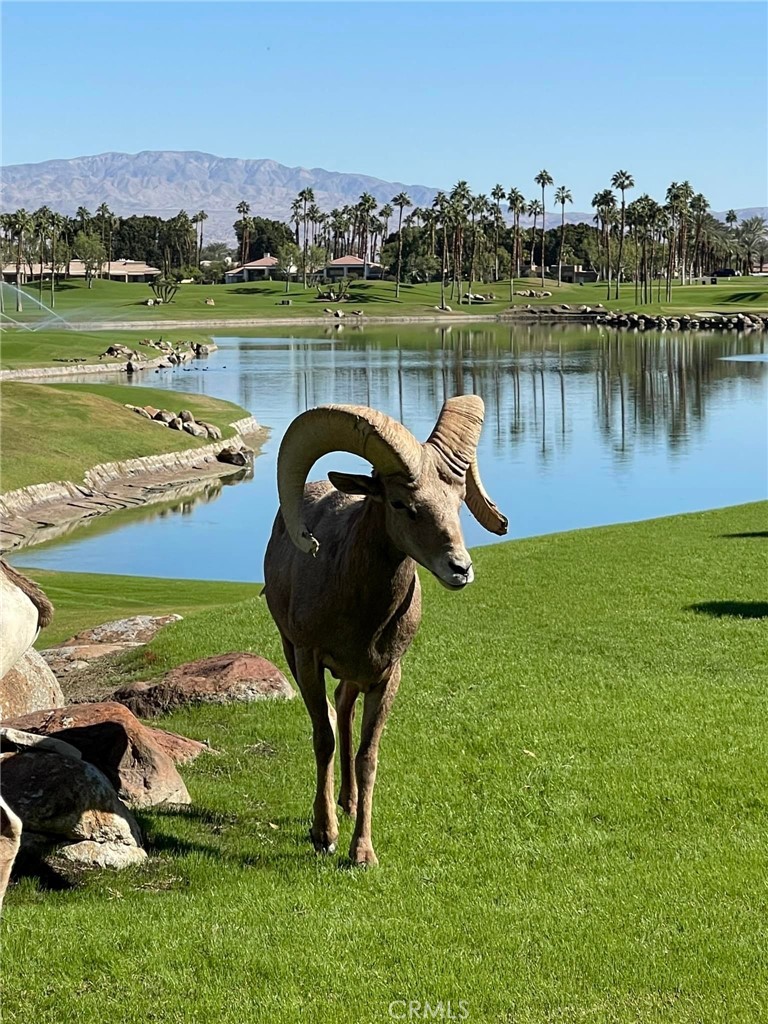 54873 Southern Hills