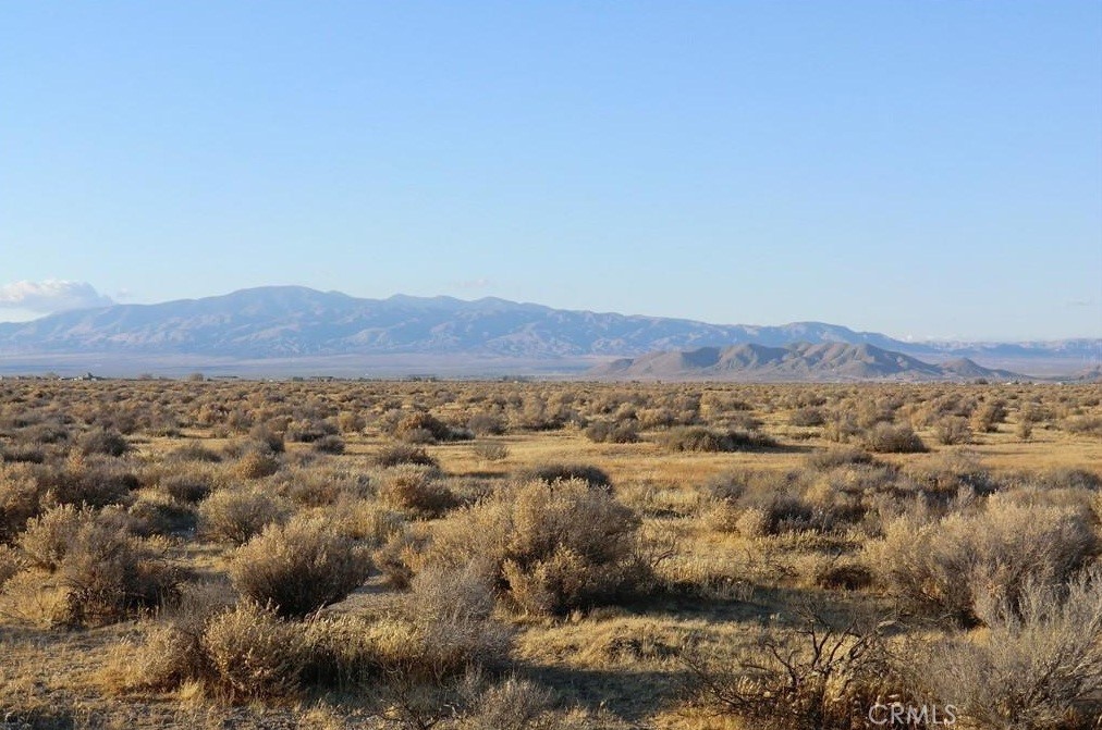 0 W Avenue B14 + 26th ST.W