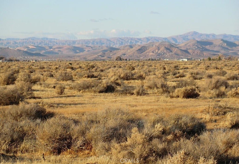 0 W Avenue B-12 + 25th St. W