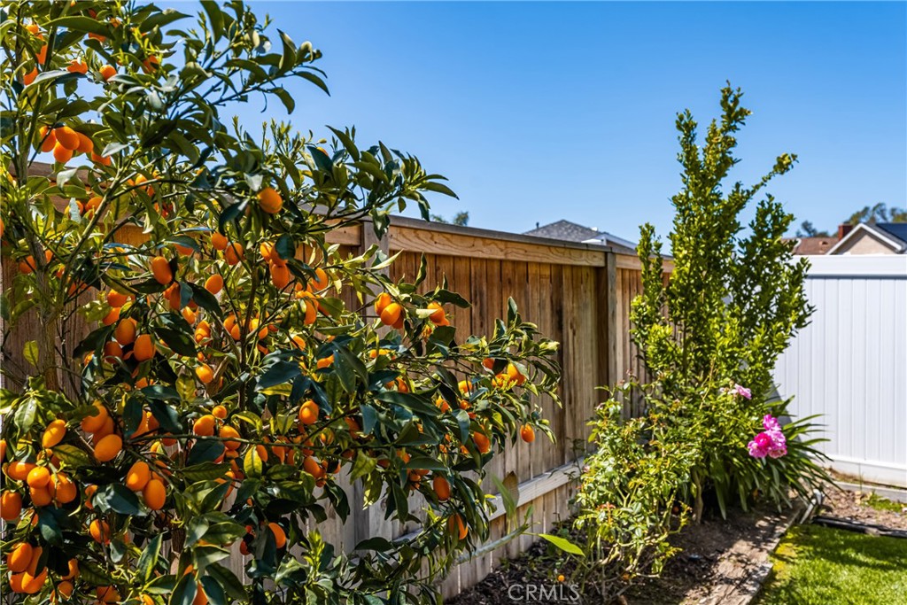 31976 Lazy Glen Lane