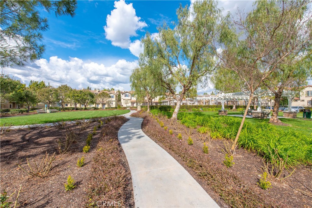 1219 Olson Drive