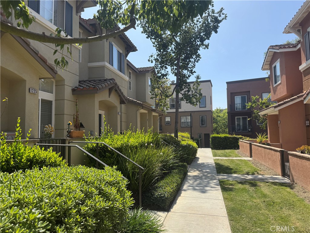 1219 Olson Drive