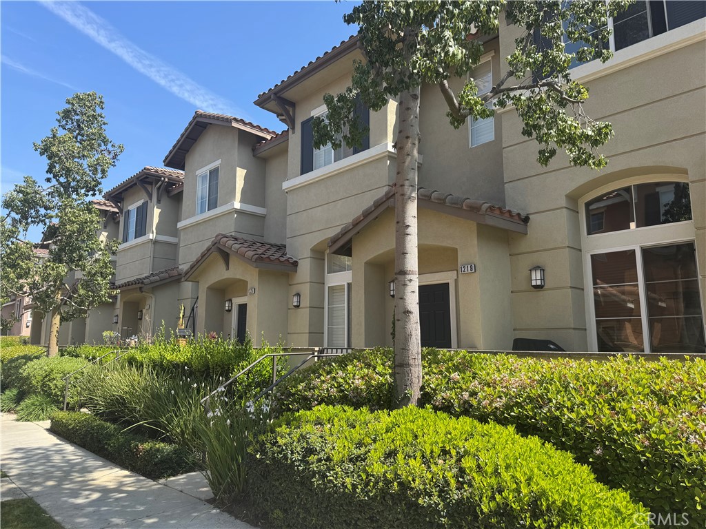 1219 Olson Drive