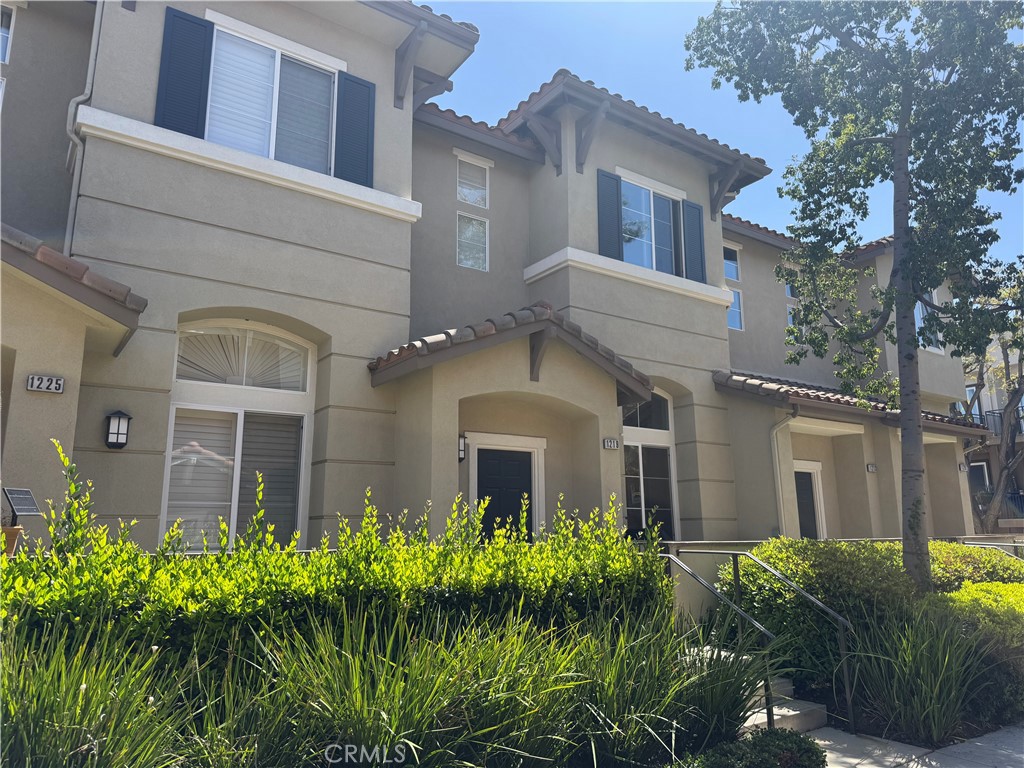 1219 Olson Drive