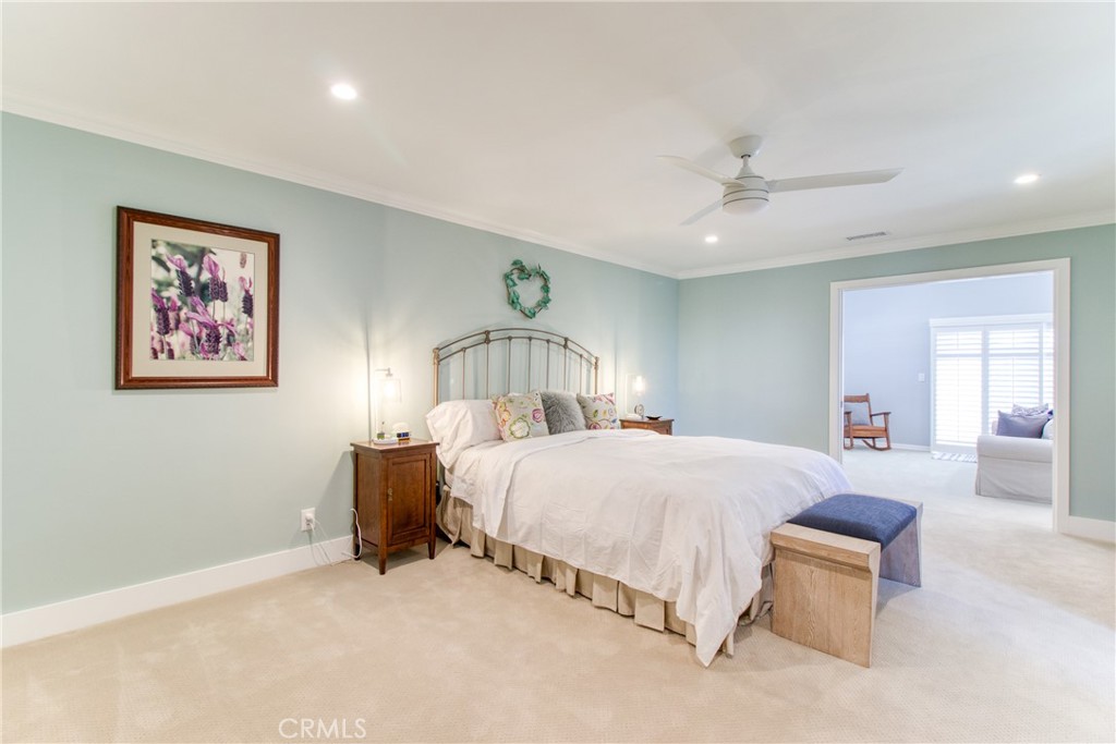 4317 Candleberry
