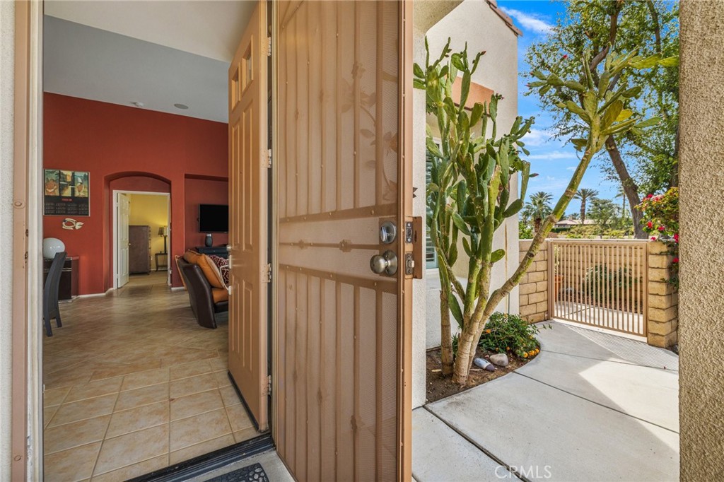 79260 Cool Reflection