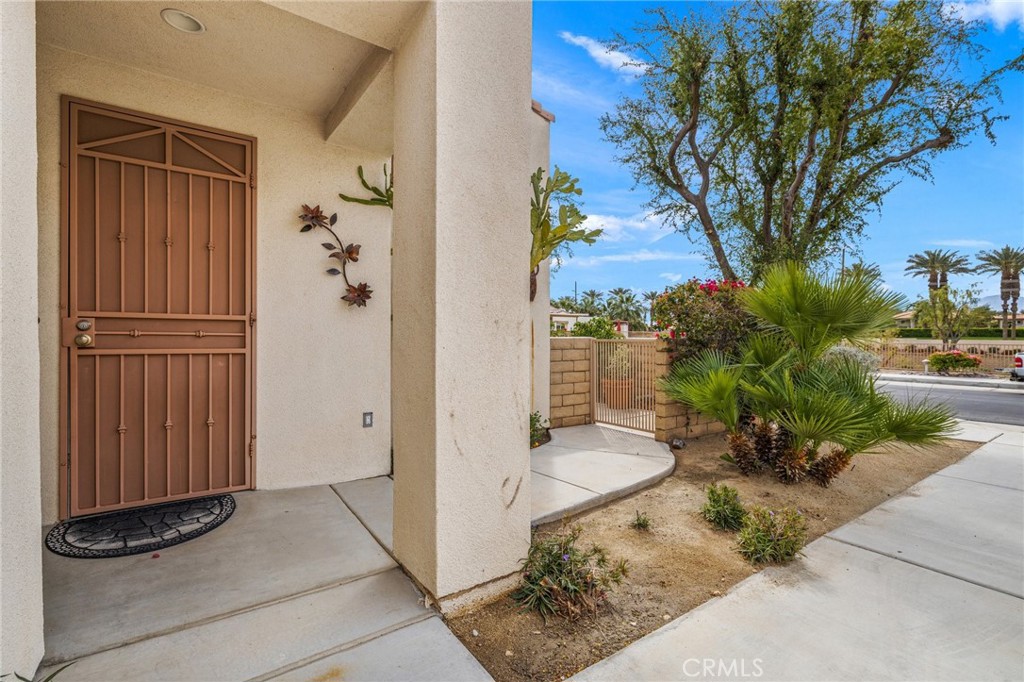 79260 Cool Reflection