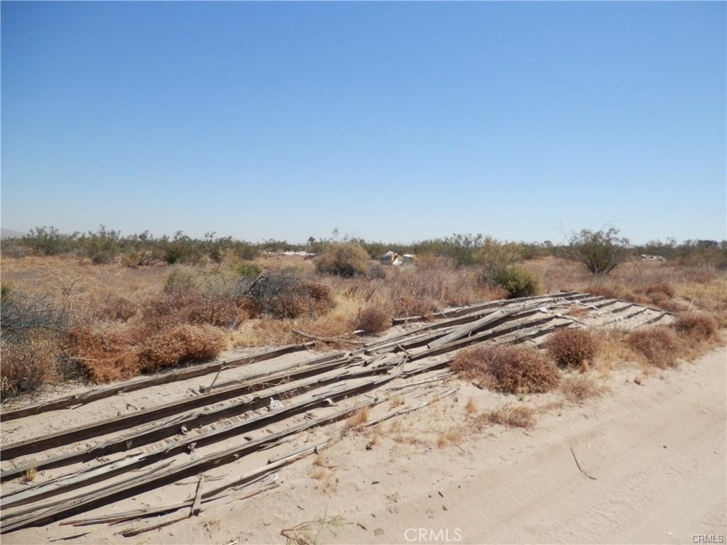 0 Ave T8 + 173rd St E Street E