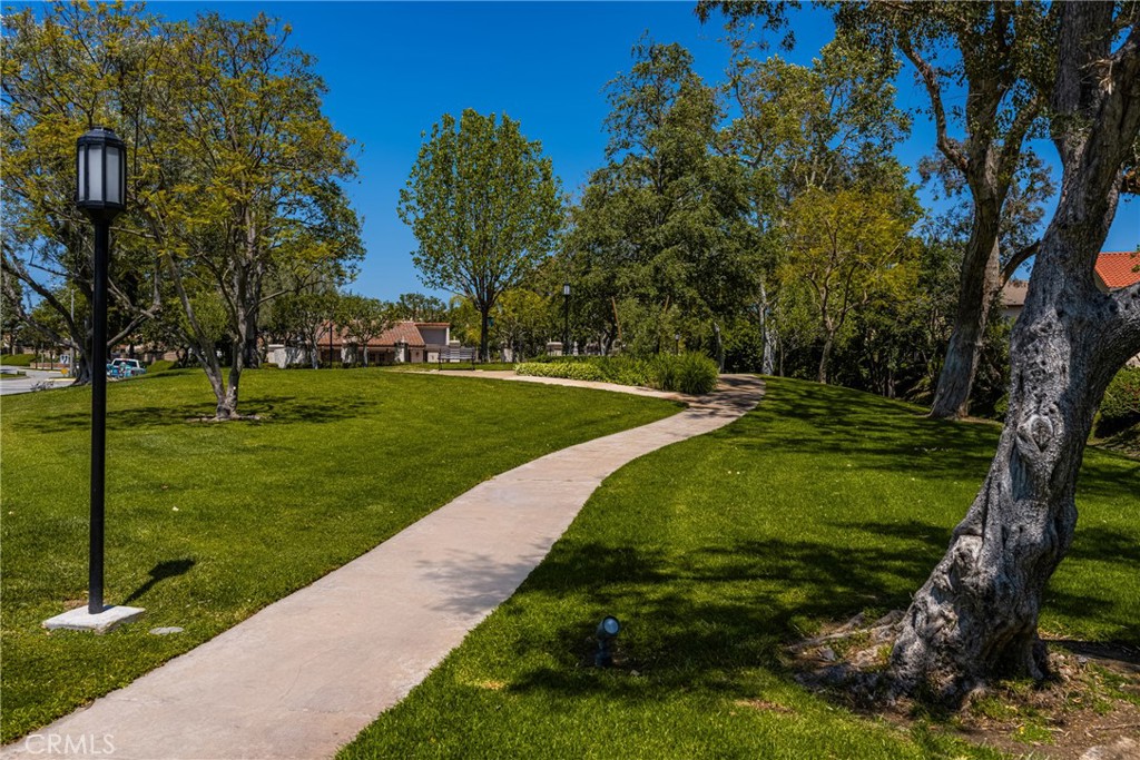 15541 Olive Branch Drive