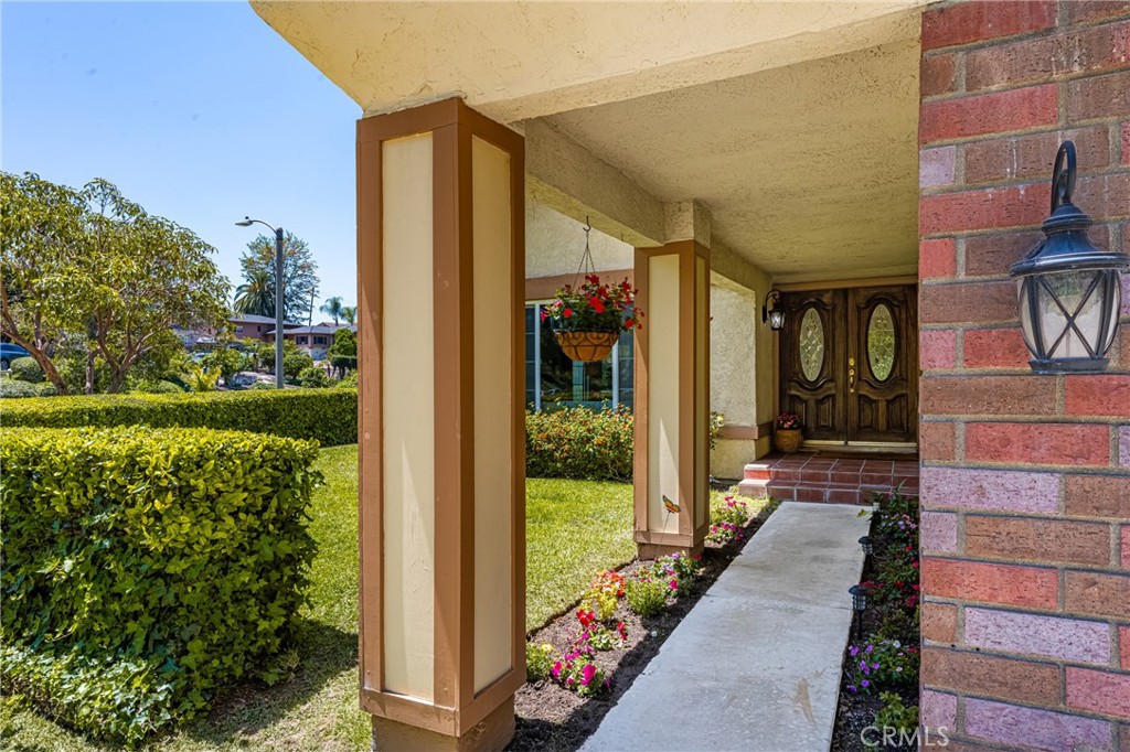 15541 Olive Branch Drive