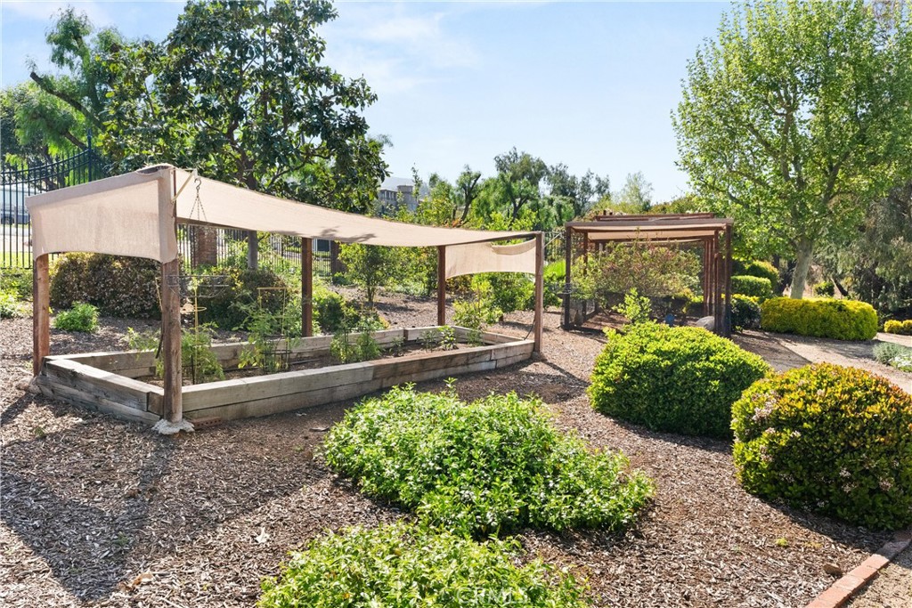 1331 Hidden Springs Drive