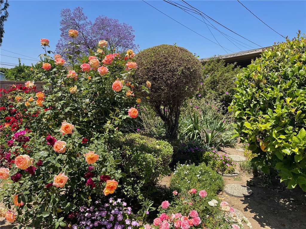 7933 Rhea Vista Drive