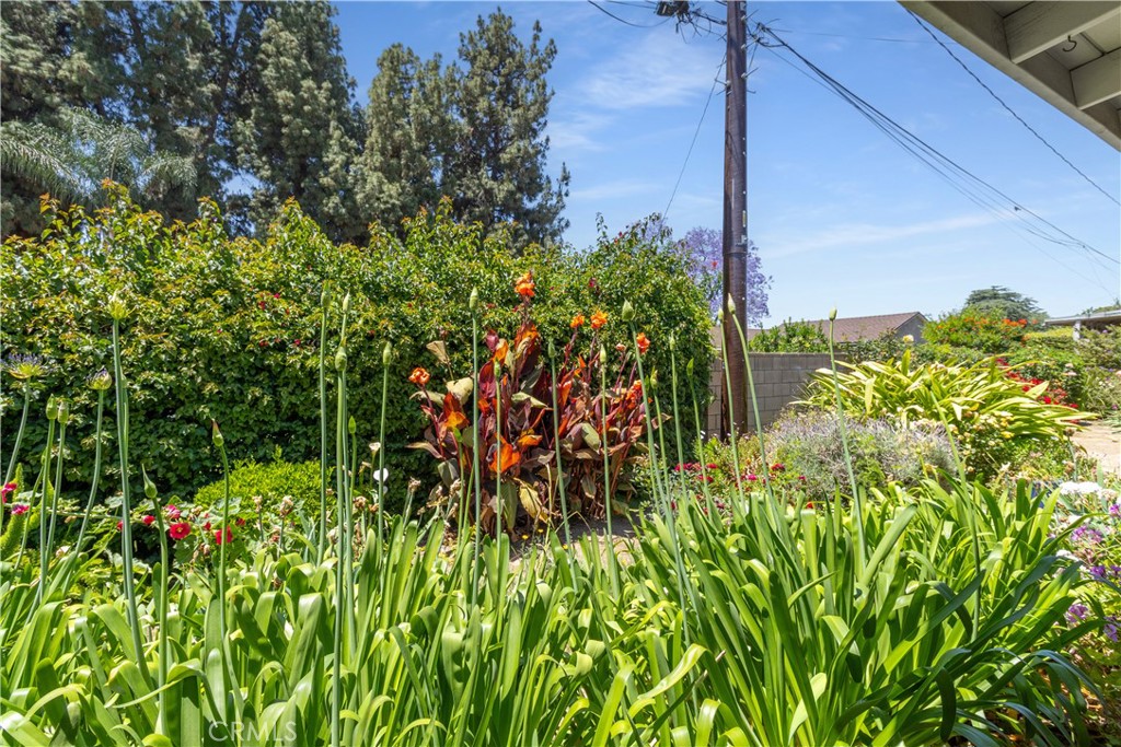 7933 Rhea Vista Drive