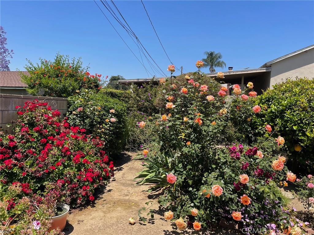 7933 Rhea Vista Drive