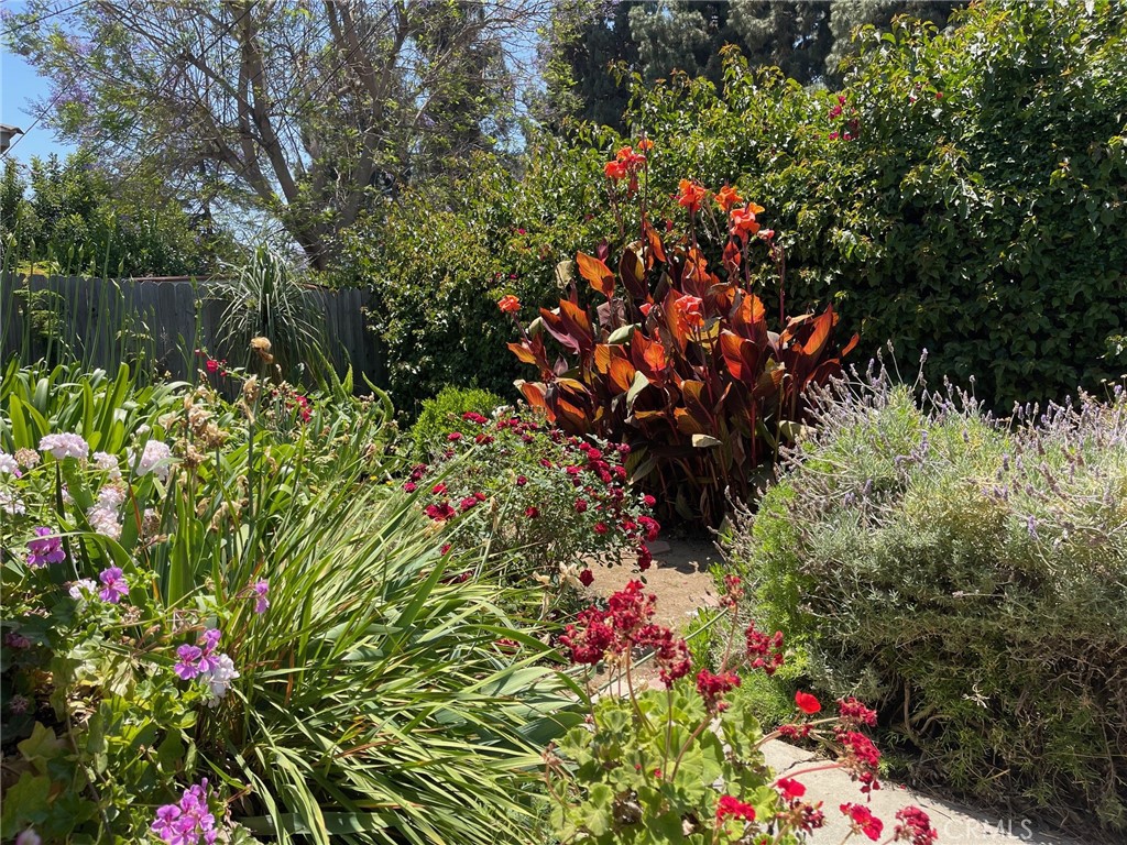 7933 Rhea Vista Drive