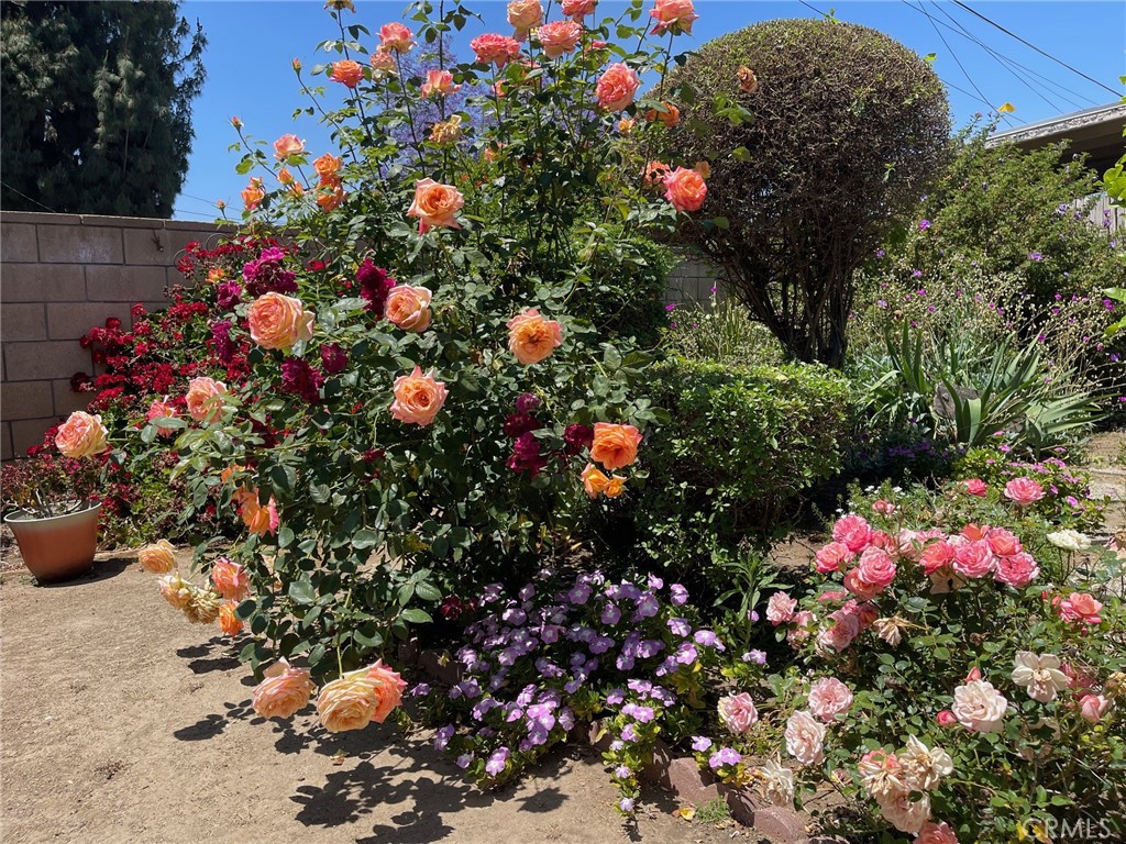 7933 Rhea Vista Drive