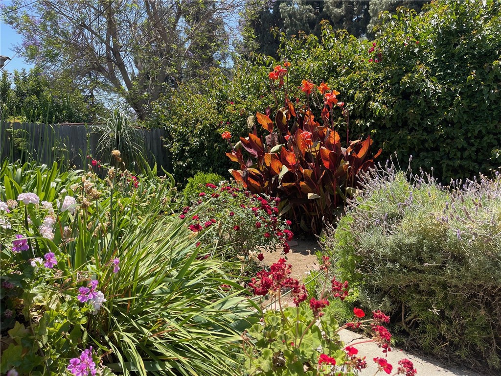 7933 Rhea Vista Drive