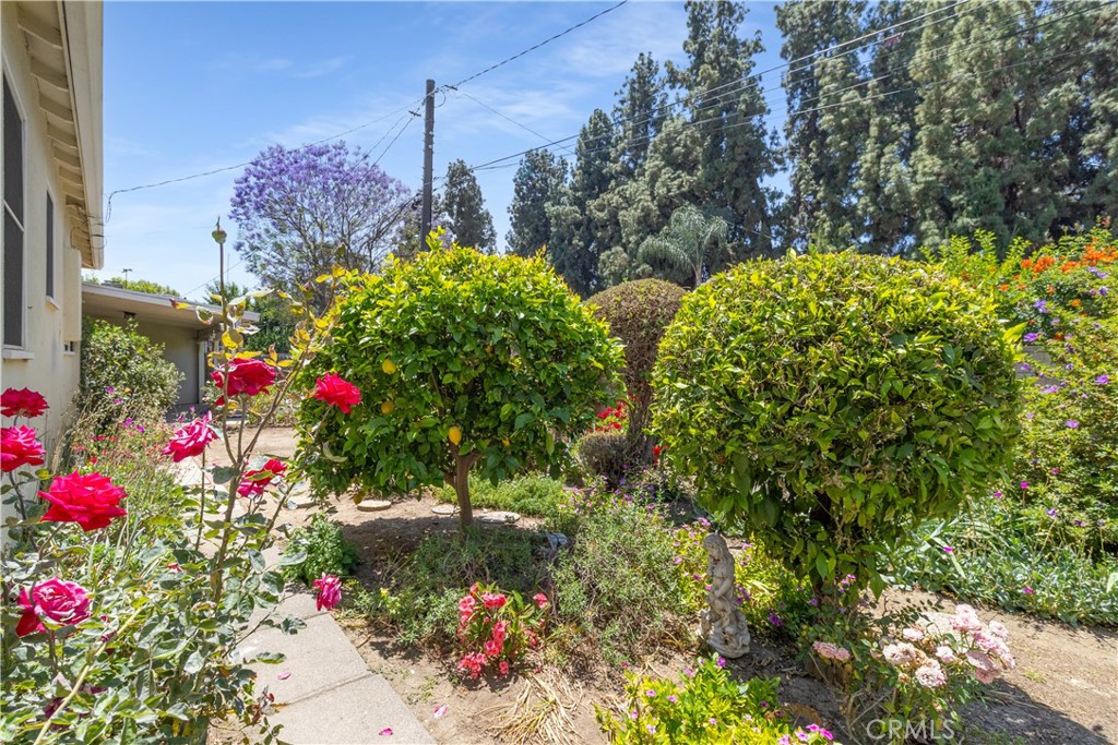 7933 Rhea Vista Drive