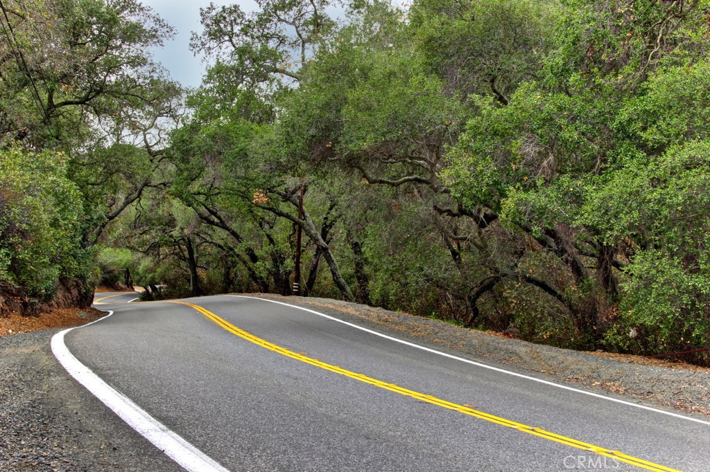 20281 Sycamore Drive