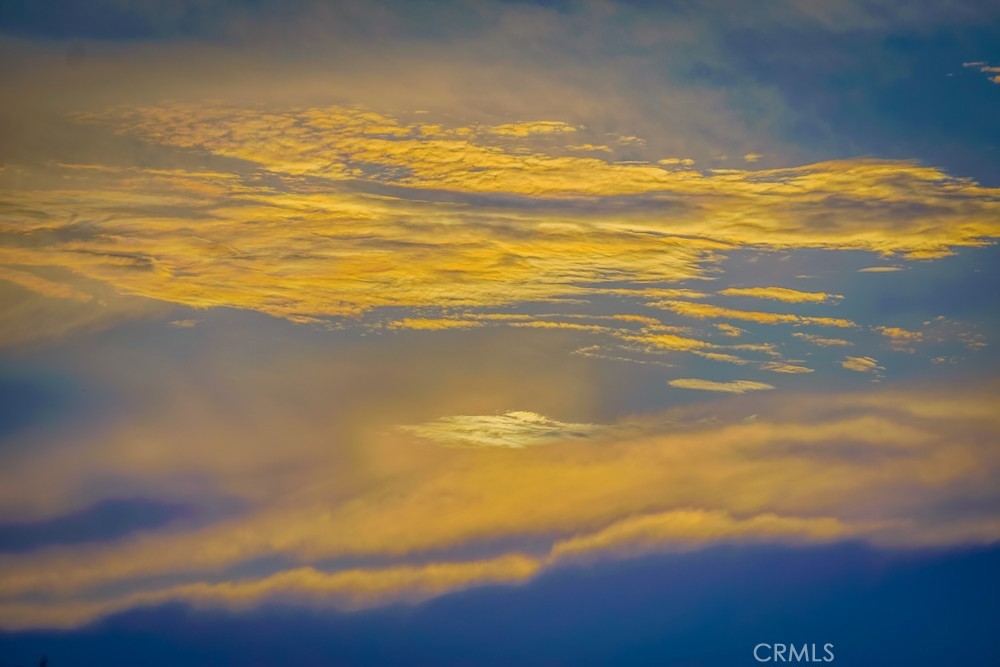 1775 Freeman Avenue 304