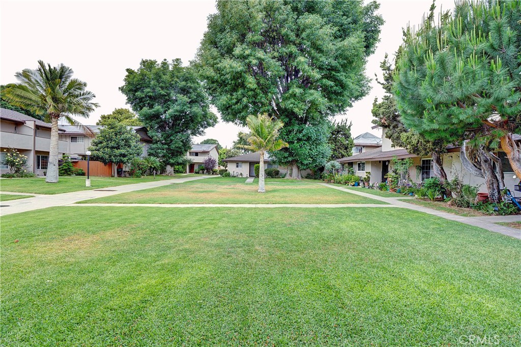 521 S Lyon Street 37