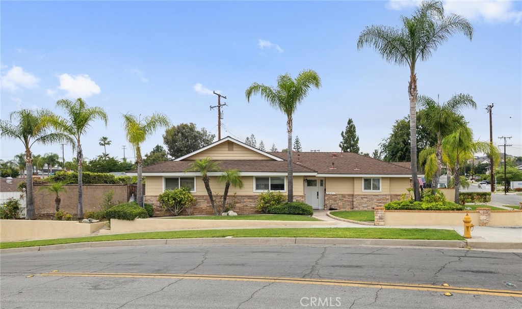 4441 AVOCADO Avenue
