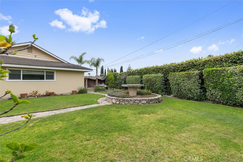 4441 AVOCADO Avenue