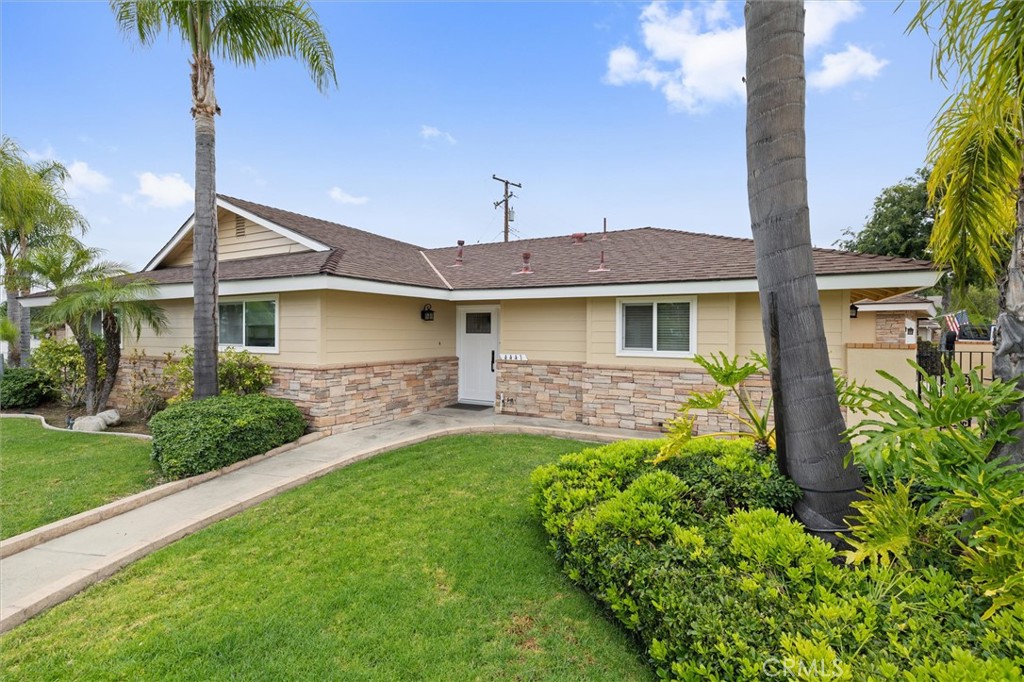 4441 AVOCADO Avenue