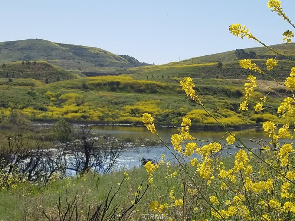 8237 E Flowerwood Avenue