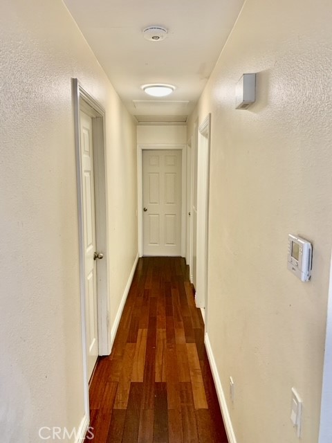 3695 Blue Gum Drive