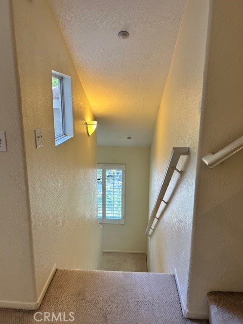 3302 Orangewood