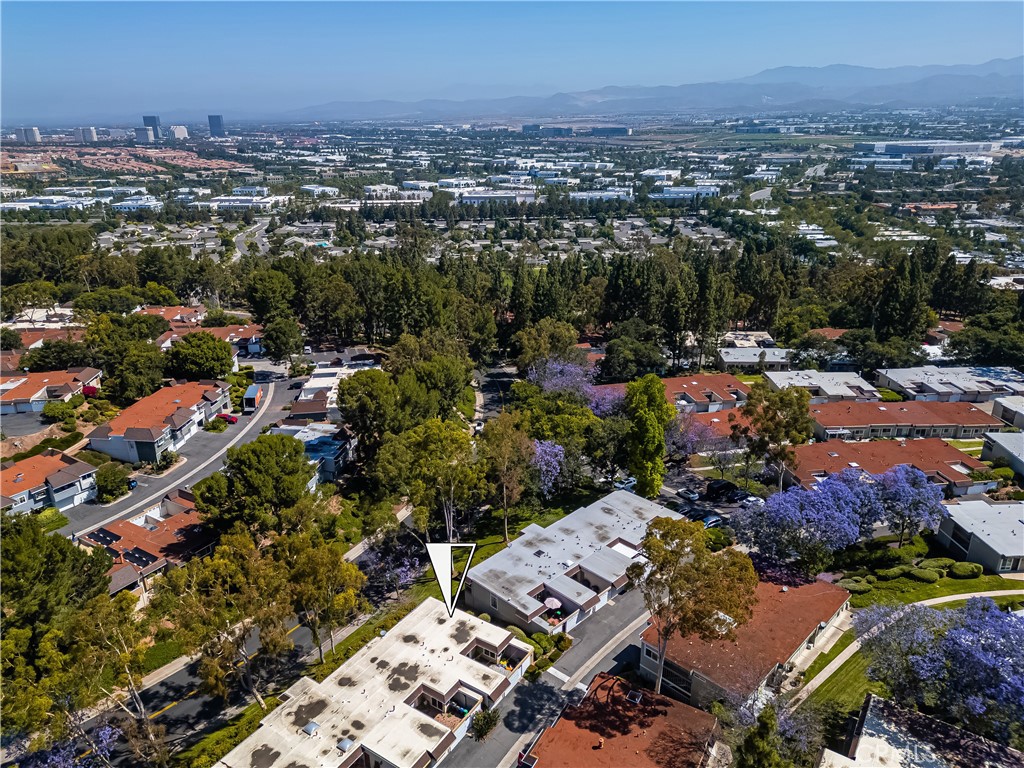 23261 Caminito Andreta 66