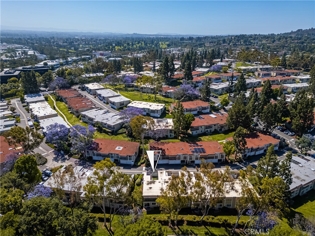 23261 Caminito Andreta 66