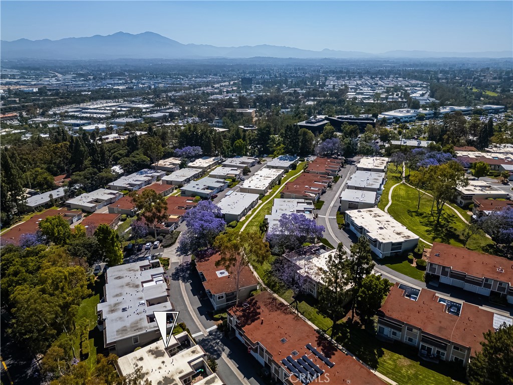 23261 Caminito Andreta 66