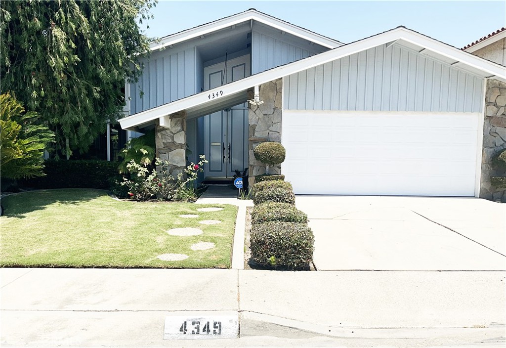 4349 Candleberry